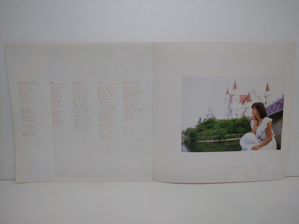 成田・酒々井のレコード屋さんレコちゃんカンパニー酒々井店からのお知らせ｜レコード売るならレコちゃんカンパニーへおまかせください